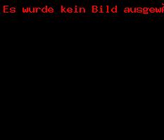 Weihnachtsfeier_2016_7